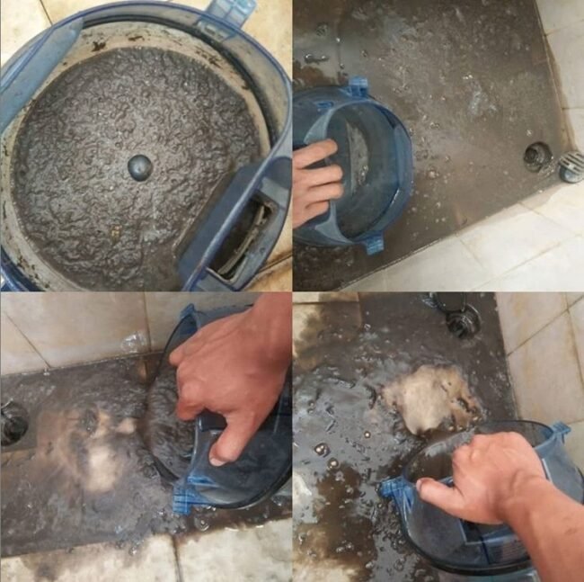 Jasa pembersih tungau Tangerang