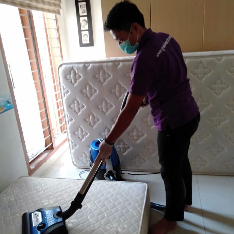 vacuum tungau jakarta