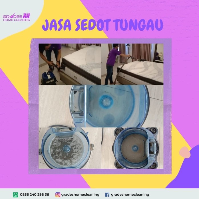 sedot tungau Surabaya